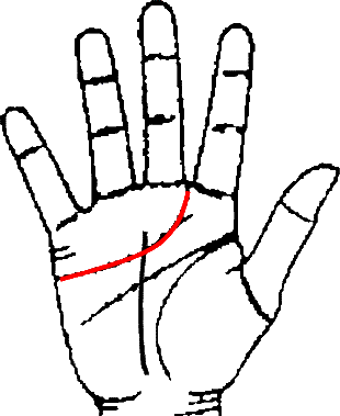 Hand shoiwng heart line