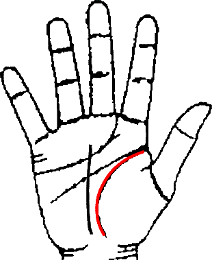 Hand showing life line